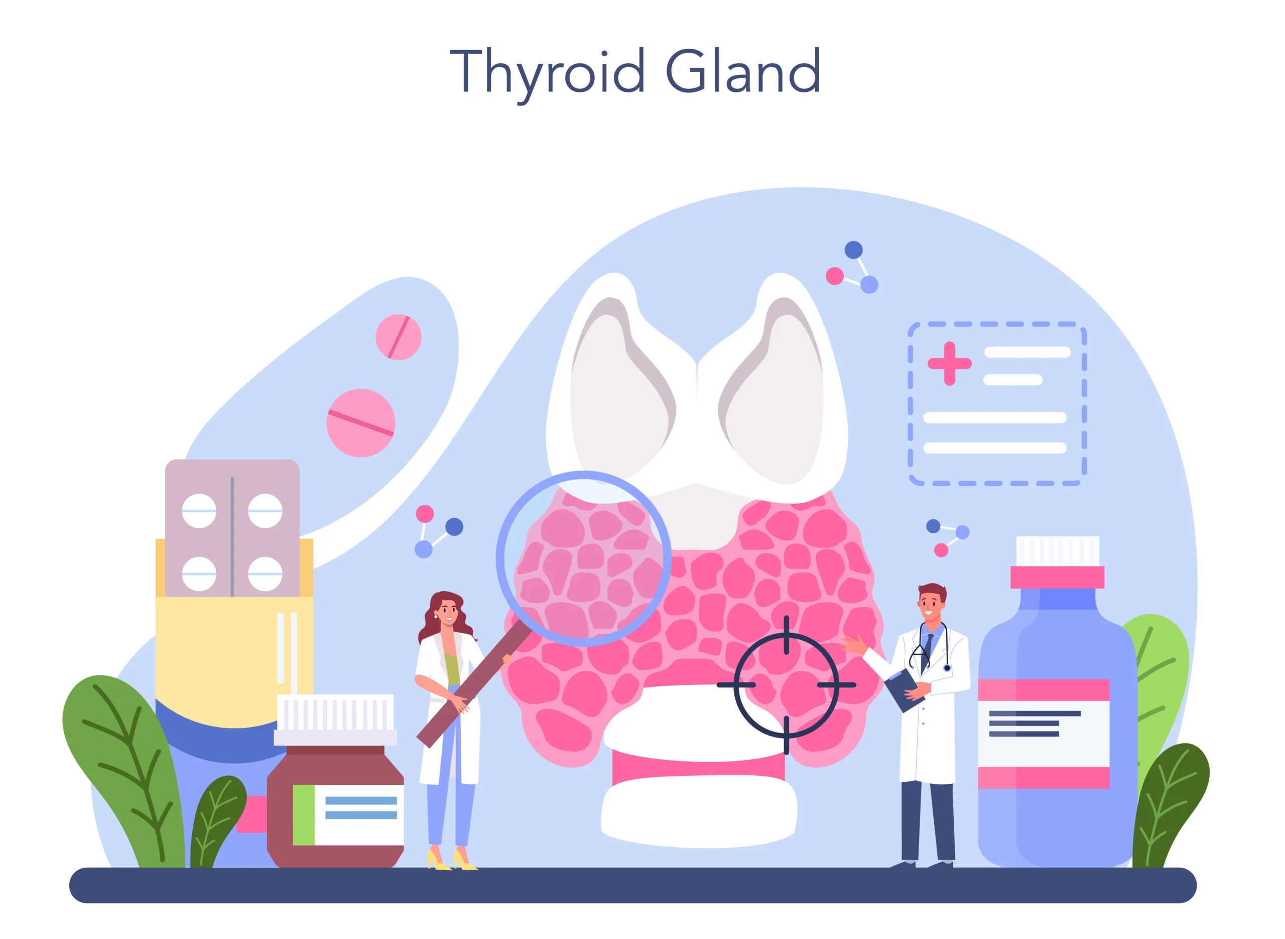 The Thyroid: An Essential Gland for Metabolic Harmony