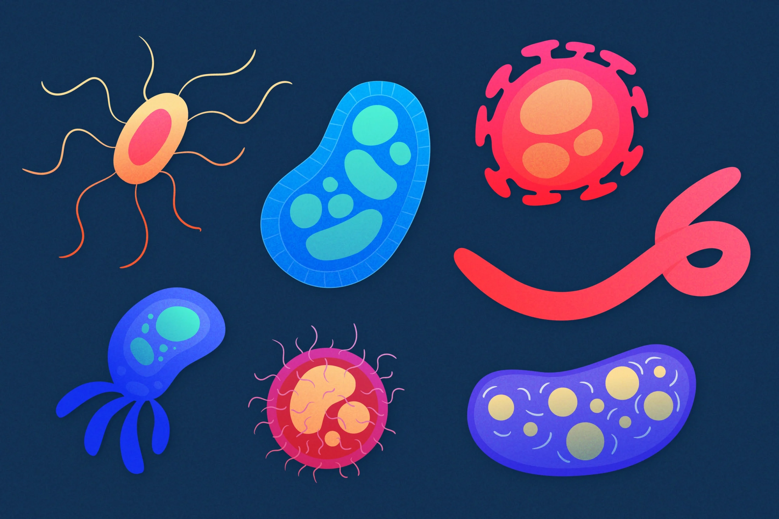 The Diverse World of Cells: Exploring the Different Types and Their Functions