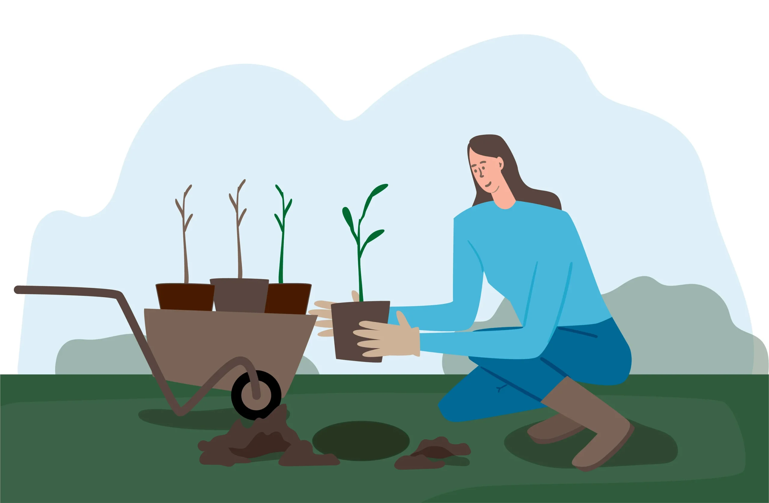 How to Start a Garden: A Step-by-Step Guide for Beginners